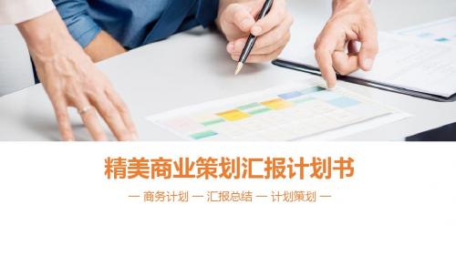 超市连锁商业计划书ppt