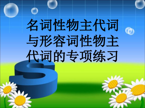 形容词性物主代词与名词性物主代词