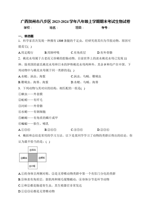 广西贺州市八步区2023-2024学年八年级上学期期末考试生物试卷(含答案)