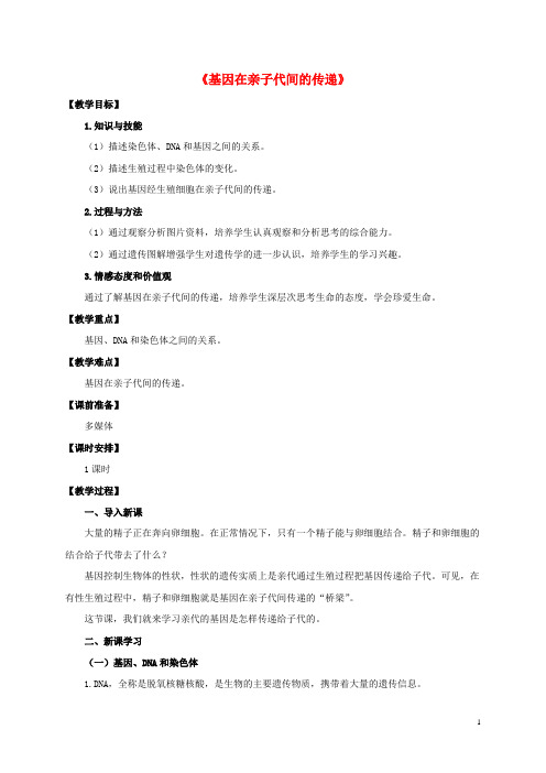 八年级生物下册 第七章 第二章 第二节《基因在亲子代间的传递》教案 新人教版