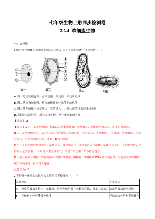 2.2.4 单细胞生物-七年级生物上册精品课堂同步检测卷(人教版)(解析卷)