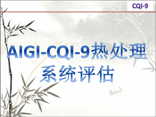 AIAG-CQI-9热处理系统评估讲义-教程