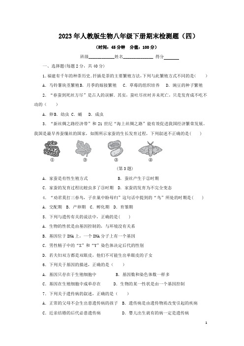 期末复习检测试题(四)-2022-2023学年人教版生物八年级下册