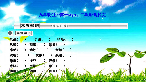 中考语文总复习 第一部分 教材基础自测 九上 第一、二单元 现代文课件