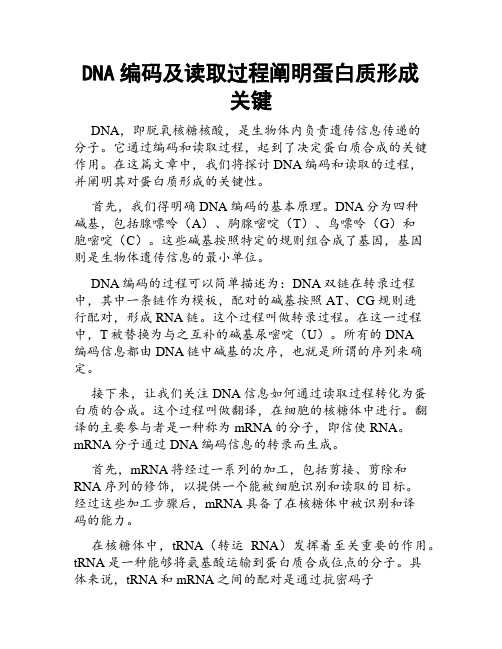 DNA编码及读取过程阐明蛋白质形成关键