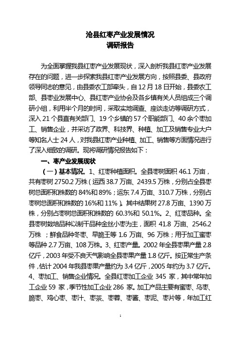 关于沧县红枣产业发展情况的调查报告