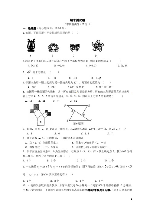 苏科版八年级数学上 期末测试题( 含答案)