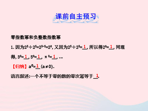 六年级数学下册第六章整式的乘除4零指数幂与负整数指数幂第1课时课件鲁教版五四制