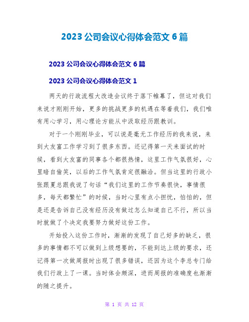 2023公司会议心得体会范文6篇2