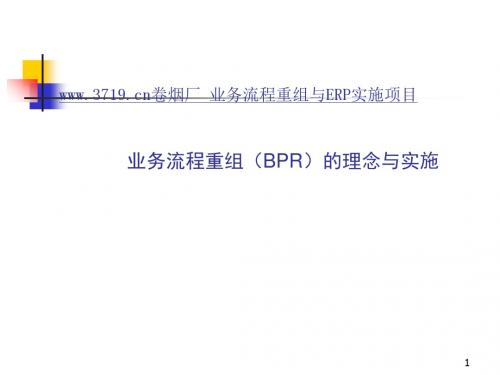 业务流程重组BPR的理念与实施(PPT66张)