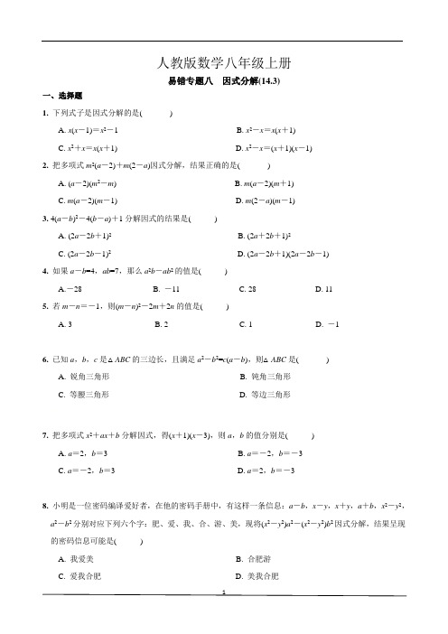 人教版八年级上册易错专题8  因式分解%2814.3%29