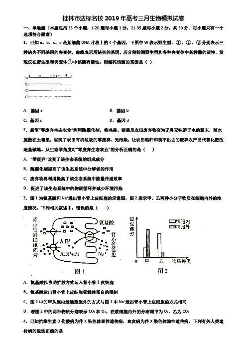 桂林市达标名校2019年高考三月生物模拟试卷含解析