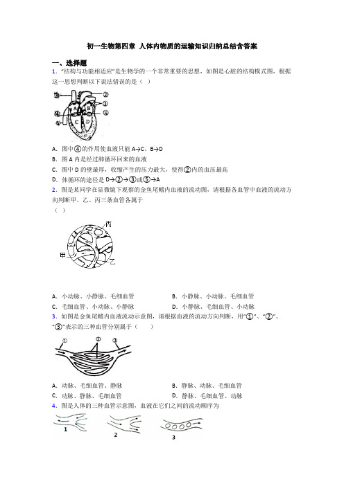 初一生物第四章 人体内物质的运输知识归纳总结含答案