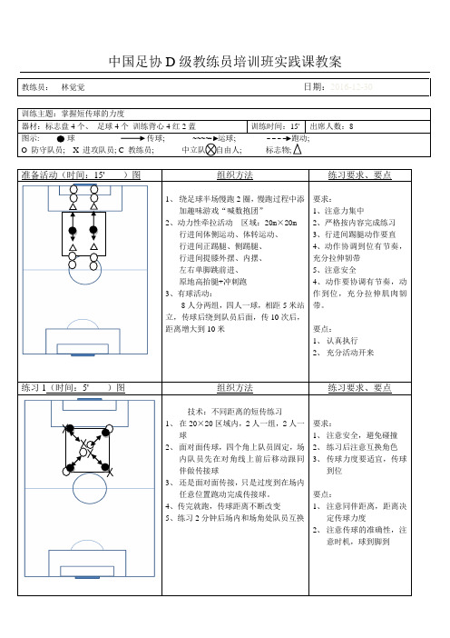 中国足协D级训练实践教案