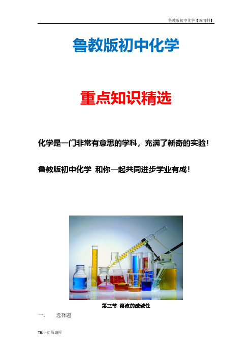 鲁教版初中化学五四制九年级全册《溶液的酸碱性》第二课时同步练习2