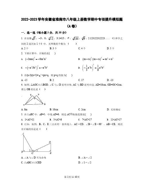 2022——2023学年安徽省淮南市八年级上册数学期中专项提升模拟题AB卷(含答案)