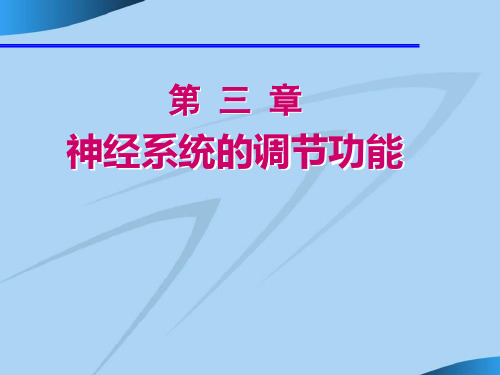 运动生理学 神经系统的调节功能第三章第一节