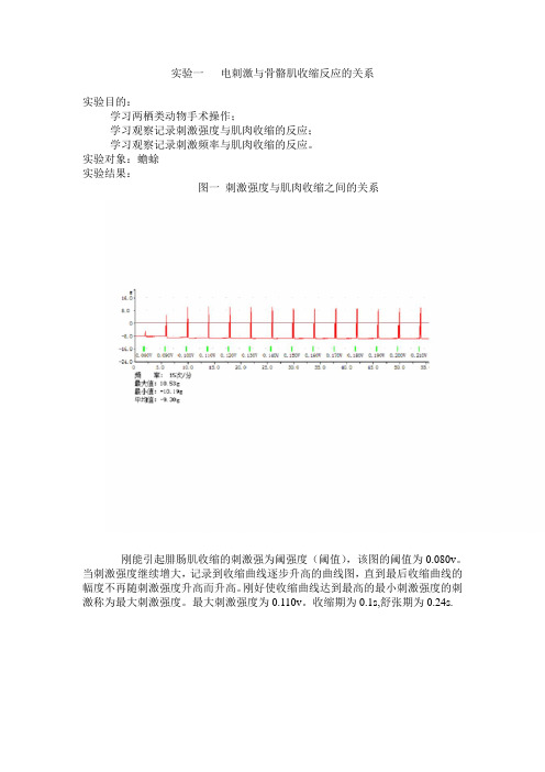 电刺激与骨骼肌收缩反应的关系