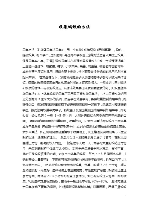 收集蚂蚁的方法