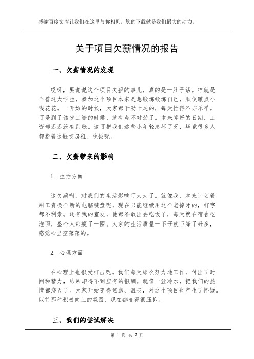 关于项目欠薪情况的报告