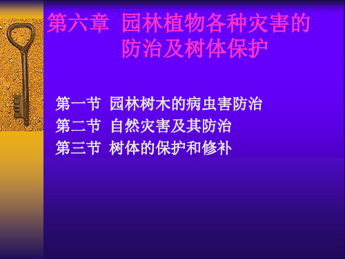 园林植物各种灾害的防治及树体保护PPT课件