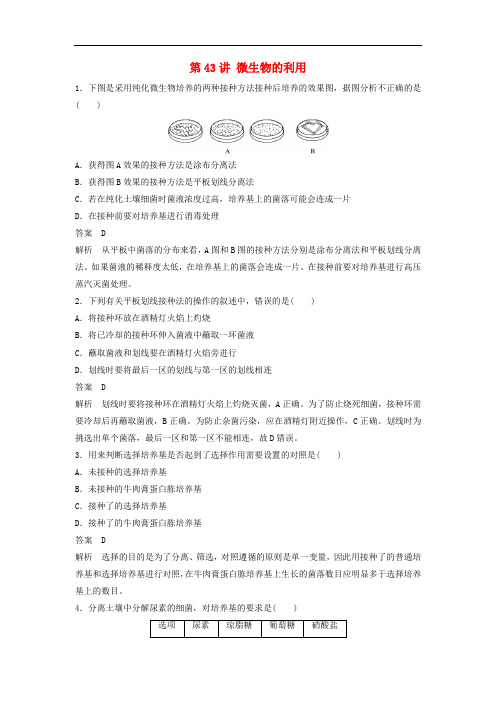 高考生物一轮复习 第十一单元 生物技术实践 第43讲 微