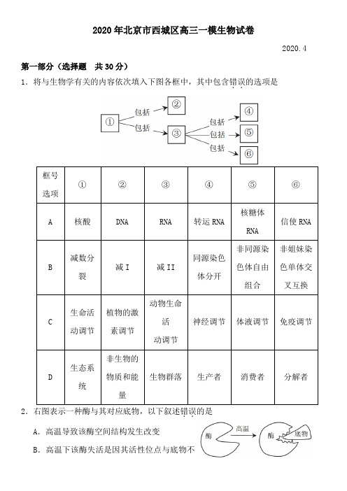 2020年北京市西城区高三一模生物试卷+答案