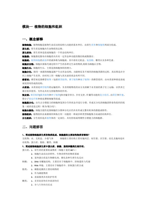 植物学期中复习要点