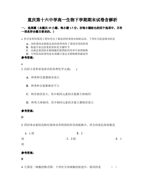 重庆第十六中学高一生物下学期期末试卷含解析