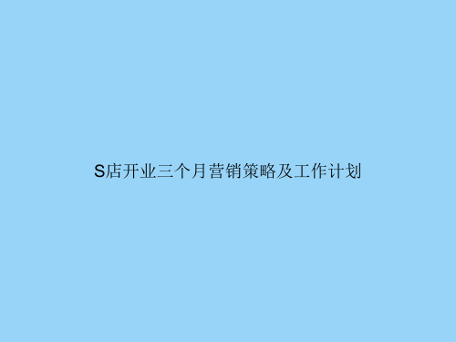 S店开业三个月营销策略及工作计划