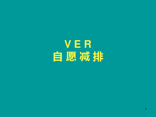 VER-介绍