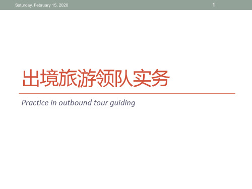 出境旅游领队实务(第二课)PPT课件