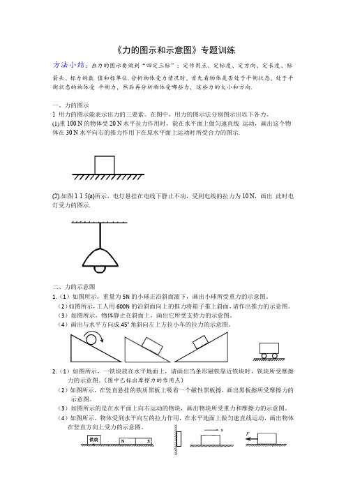 (完整版)力的图示和示意图专题