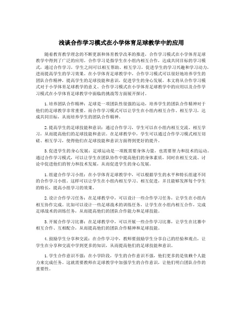 浅谈合作学习模式在小学体育足球教学中的应用