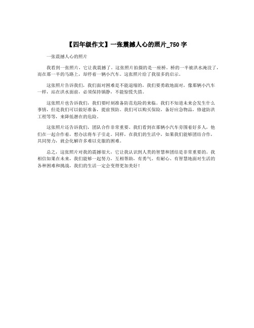 【四年级作文】一张震撼人心的照片_750字