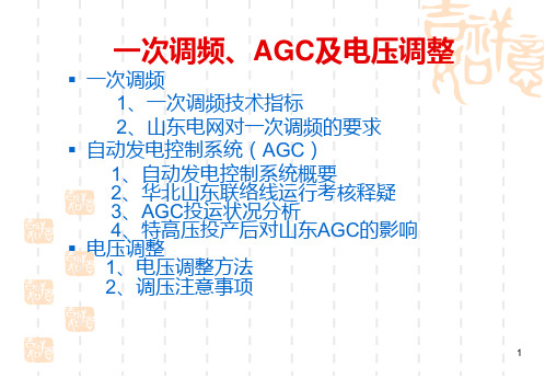 一次调频AGC及电压调整PPT课件