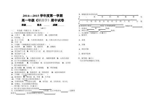 2014级解剖学中期考试试卷.doc马婷婷