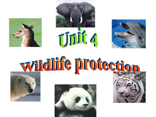 人教版必修2 Unit4 Wildlife protection Reading课件