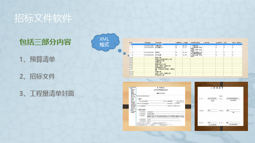 电子招投标相关问题解析