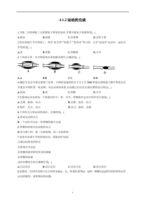 4.1.2运动的完成—2022-2023学年冀教版生物八年级上册同步练习【word版 含解析】