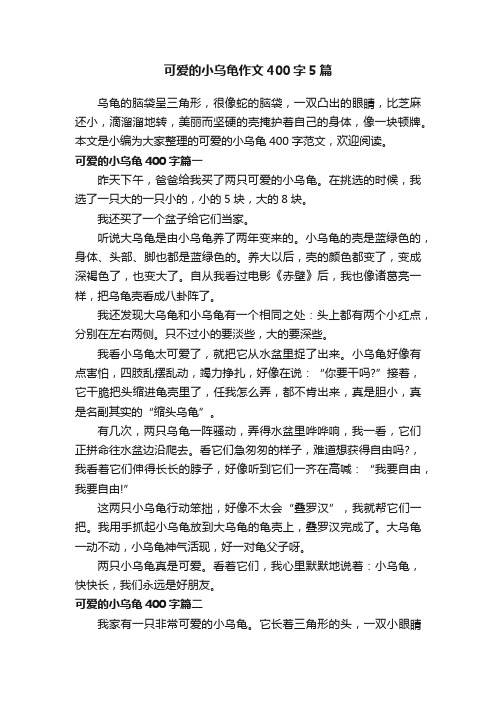 可爱的小乌龟作文400字5篇