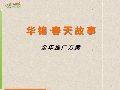 华锦春天故事全年推广方案(PPT111页)