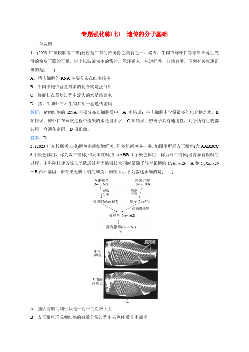 2025届高考生物【二轮专题复习与测试】专题强化练7遗传的分子基础