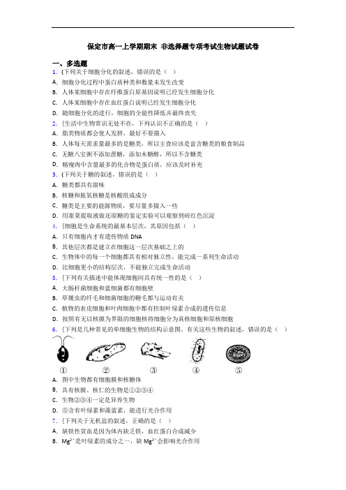 保定市高一上学期期末 非选择题专项考试生物试题试卷
