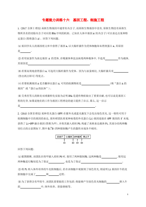 2019年高考生物二轮复习专题能力训练16基因工程细胞工程 含答案解析
