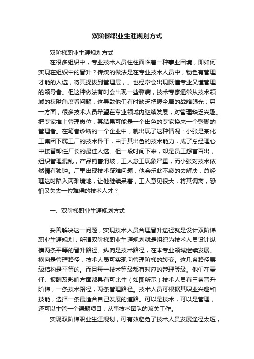 双阶梯职业生涯规划方式