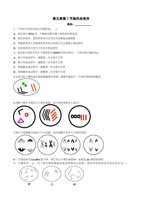 染色体变异练习