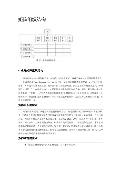 矩形组织结构