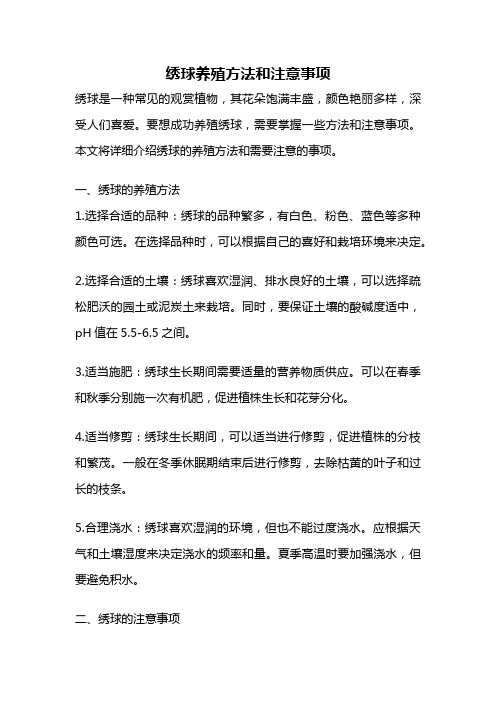 绣球养殖方法和注意事项