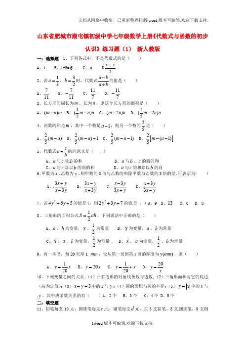 七年级数学上册代数式与函数的初步认识练习题1无答案新人教版